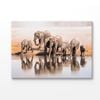 Elephant Family Drinking Water From a Lake Print 100% Australian Made 180x120cm (Stretched Canvas)
