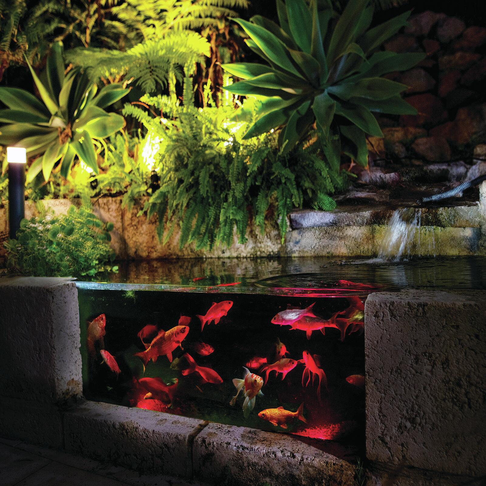 Solar pond lights bunnings top