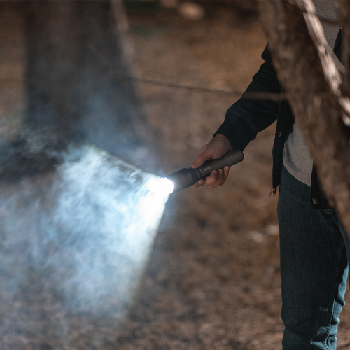 Hand holding torch.