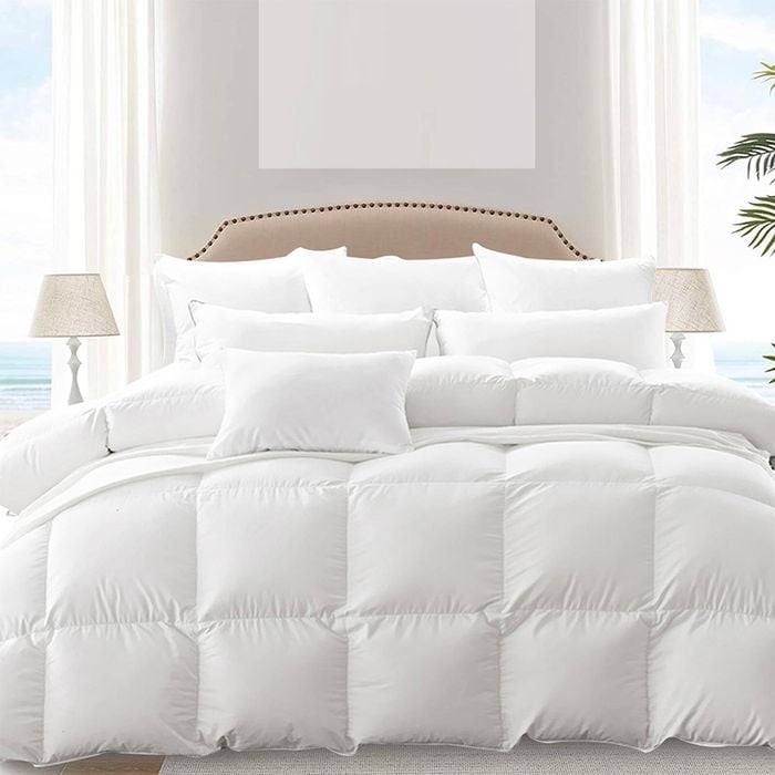 Dreamz 500GSM All Season Goose Down Feather Quilt King Single