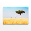 Trees in Grasslands of Kenya  Print 100% Australian Made 120 x 90cm  (Stretched)