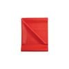Latex Free Exercise Band 1.5m - Ideal for Strength & Flexibility - Medium - Red
