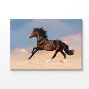 Running Horse on Desert With Dust Print 100% Australian Made 120x90cm (Stretched Canvas)