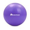 METEOR 25cm Mini Pilates Ball in Purple