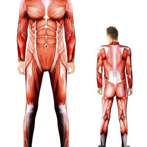 Human Anatomy Muscle Print Mens Halloween Costume - XLarge