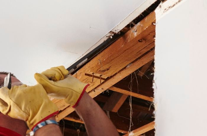 A wrecking bar being used to pry free the top plate of a stud wall from the rest of the house frame