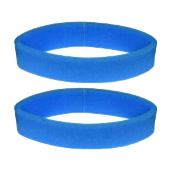 2PK Cleanstar Lower Foam Filter For Butler Vacuum Cleaner VBUT-7 Replacement
