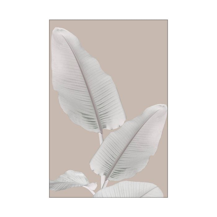 Artey | Blush Paridise II - Stretched Canvas - Stretched Canvas - 100 x 150cm