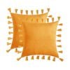 Catzon 2 Pcs Boho Velvet Throw Pillow Covers with Tassels for Couch Bed 45X45cm-Yellow