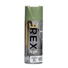 Rex 300g Metal Spray Paint - CS Mist Green