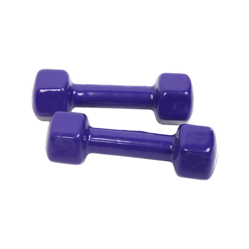 RTM 2kg Dumbbells Pair PVC Hand Weights Rubber Coated Bunnings Australia