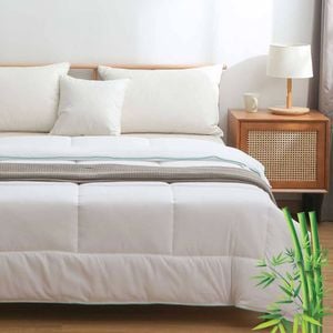 Luxton 300GSM All Seasons Bamboo Quilt( Queen size )