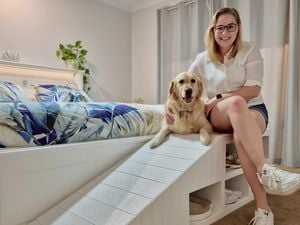 D.I.Y. - Step 1 - Is this the most stylish dog ramp ever
