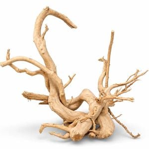 Spider Wood Driftwood Jumbo Display Piece 60-80cm