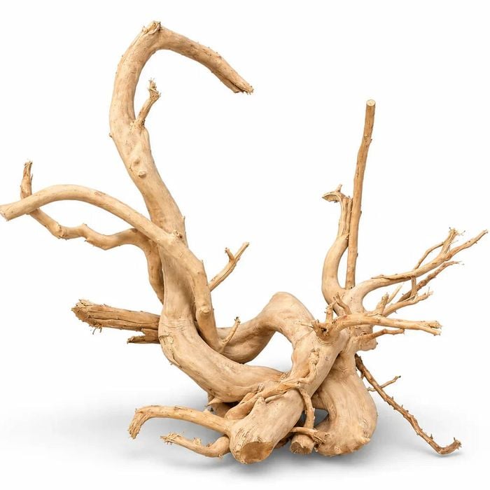 Spider Wood Driftwood Jumbo Display Piece 60-80cm