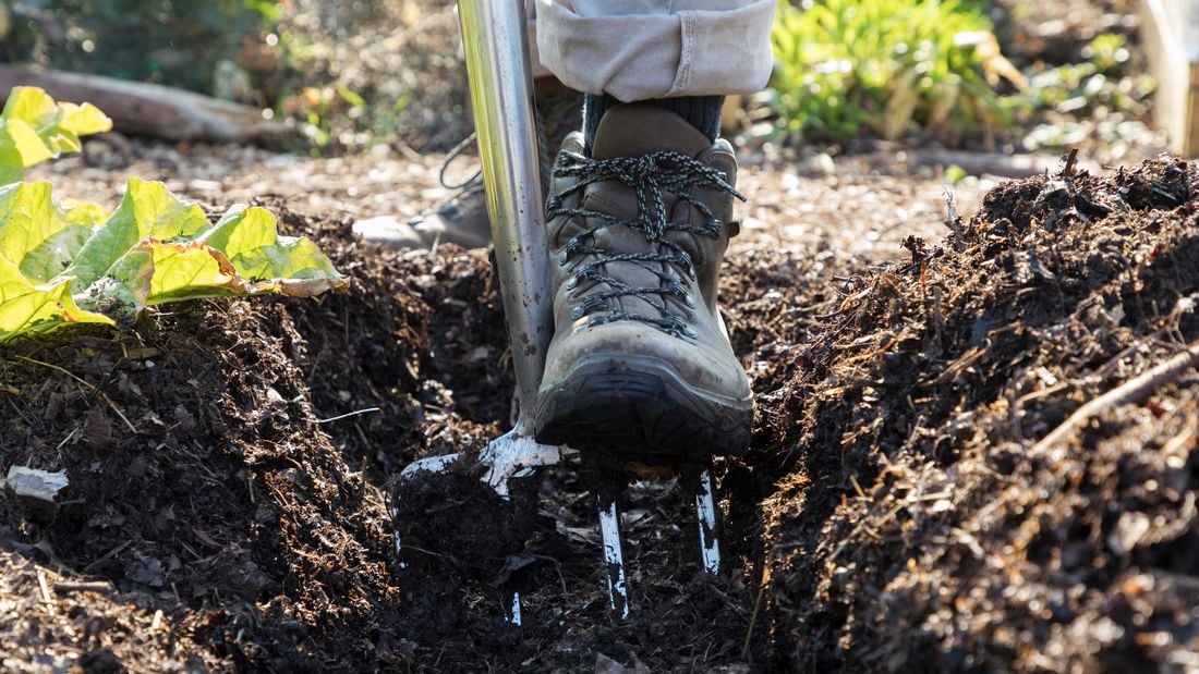 How To Improve Clay Soil Bunnings Australia