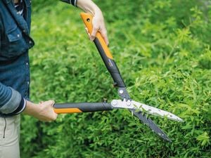 Hedge shears - Garden - Close up
