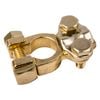 Projecta Brass Battery Terminal With Saddle