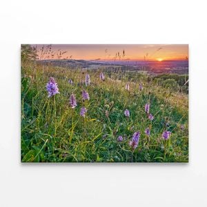 Grassland with Orchids, Mountains  Print 100% Australian Made 150 x 100cm  (Stretched)
