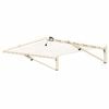 Austral 15.4m Classic Cream Unit Line Fold Down Clothesline