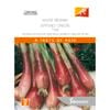 Johnsons Seed Spring Onion Toga World Kitchen