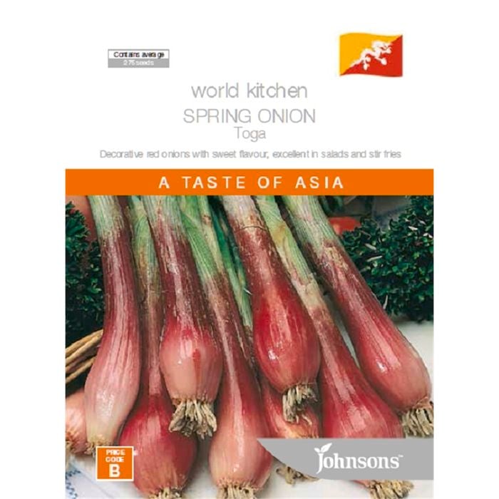 Johnsons Seed Spring Onion Toga World Kitchen