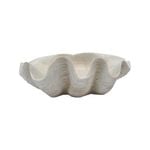 Decorative 53cm Resin Clam Shell/Trinket Decor XL - White