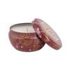 Soi Co The Decorative Tin Candle - Gilded Cinnamon