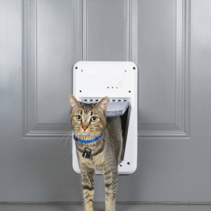 PetSafe® Dog Door Electronic Pet Door Small Bunnings Australia