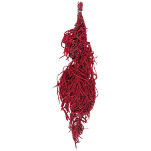 Blooms Of Joy 50-80cm Red Amaranthus Flowers