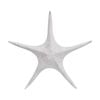 Lvd Starfish Xl Double Sided Resin Sea Creature Statue Decor 31.5x31.5x5.5cm