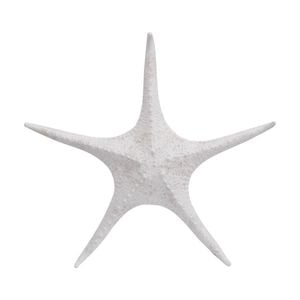 Lvd Starfish Xl Double Sided Resin Sea Creature Statue Decor 31.5x31.5x5.5cm