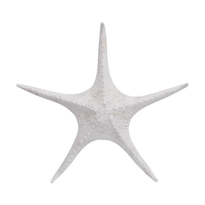 Lvd Starfish Xl Double Sided Resin Sea Creature Statue Decor 31.5x31.5x5.5cm