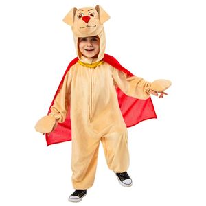 DC Comics Toddler Krypto Deluxe Super Pets Dress Up Costume Size S 3-4years