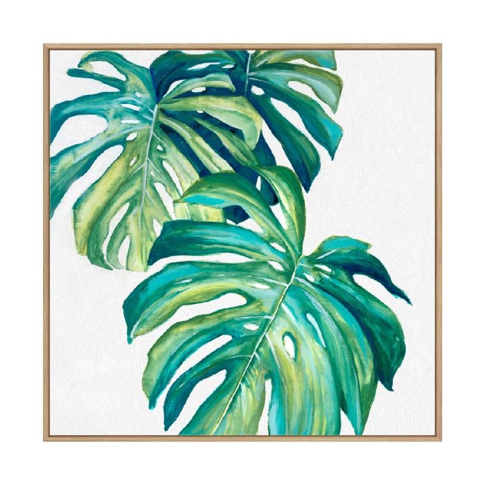 Artey | Botanical Monstera II - Framed Canvas - Natural Frame - 50 x 50cm
