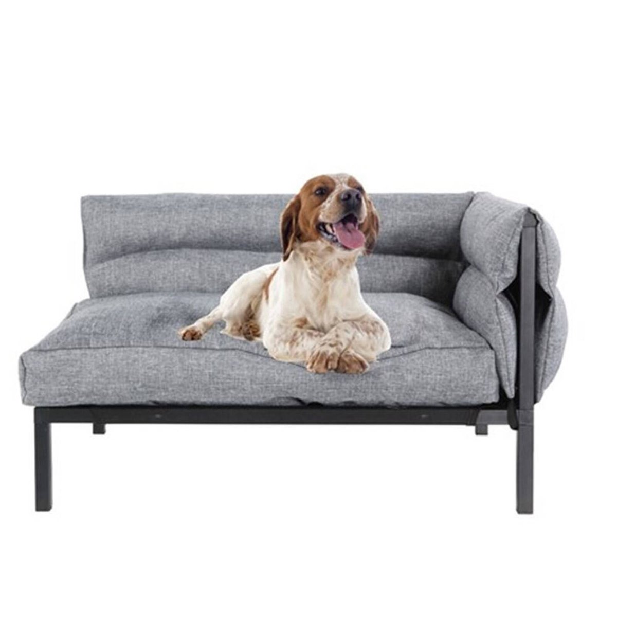 Canvas dog bed bunnings sales