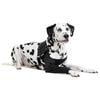 Suitical Recovery Sleeve® Dog