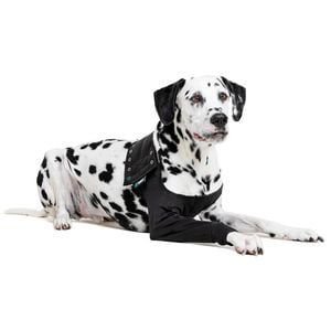 Suitical Recovery Sleeve® Dog