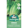 Fothergill's Lettuce Crisp Mint Cos Seeds