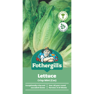 Fothergill's Lettuce Crisp Mint Cos Seeds