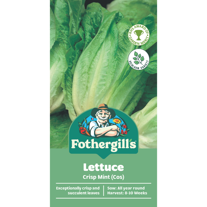 Fothergill's Lettuce Crisp Mint Cos Seeds