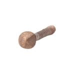NZ Nails Silicon Bronze  30x2mm  100g Rose Head Nail