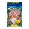 Fiesta Flower Bulbs Iris Germanica Hidden World Bulb