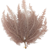 Blooms of Joy 40cm Beige Mountain Fern 10 Piece