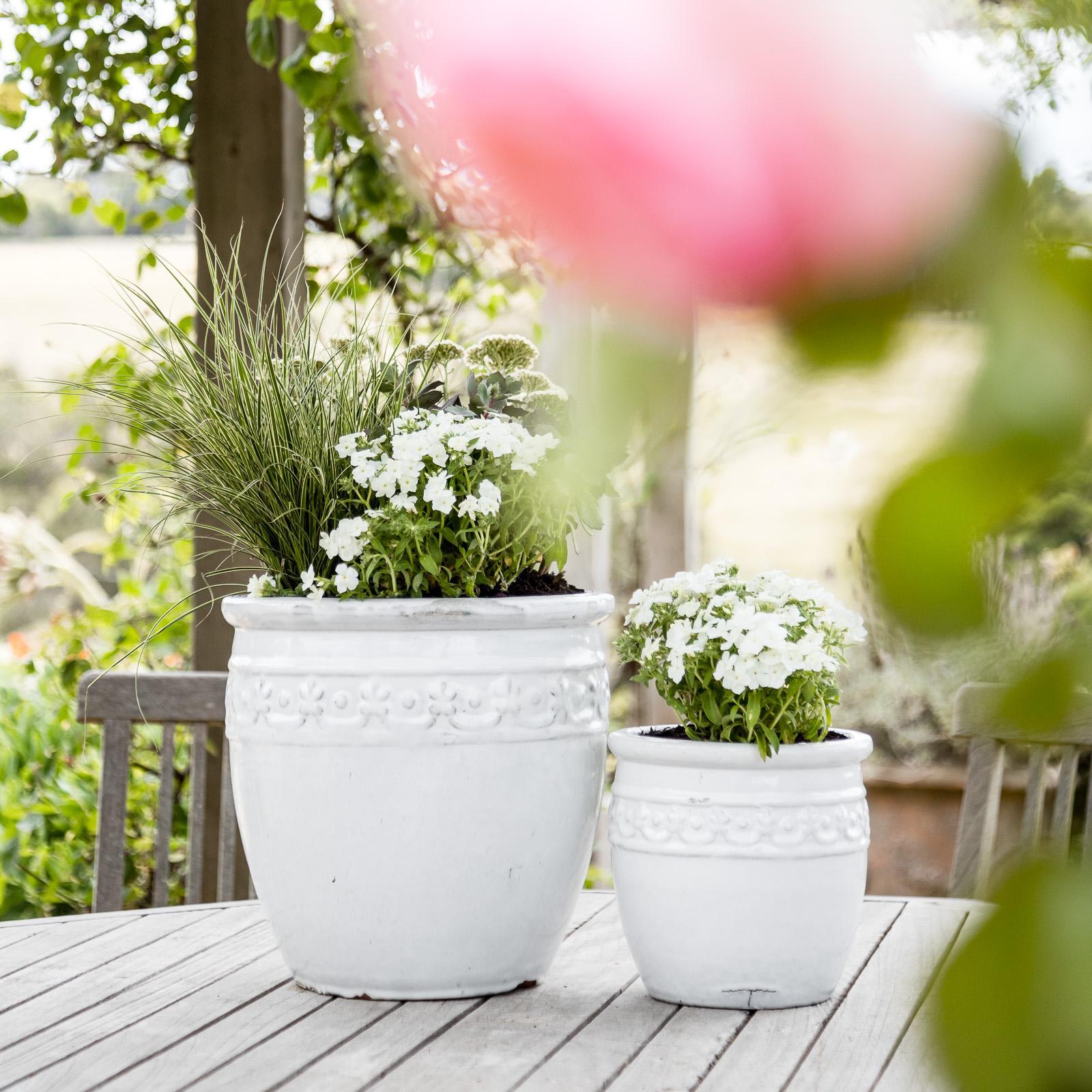 Northcote Pottery 43cm White Studded Pot Bunnings Australia