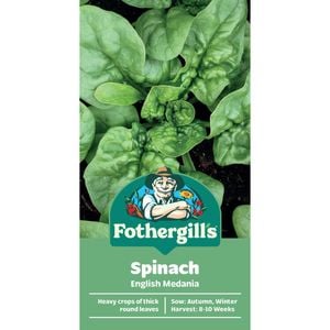 Fothergill's Spinach English Medania Vegetable Seeds