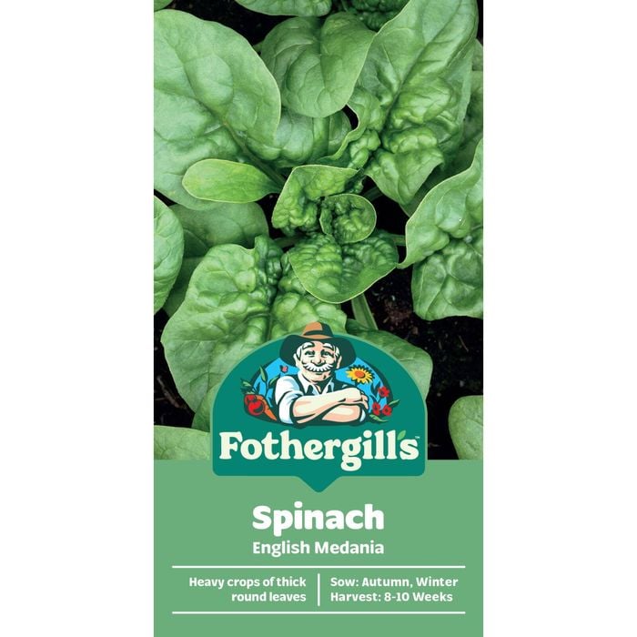 Fothergill's Spinach English Medania Vegetable Seeds