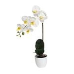55cm White Orchid Artificial Plant