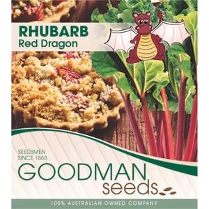 1 Crown Rhubarb Red Dragon Bagged - Rhuem Rhabarbbarum