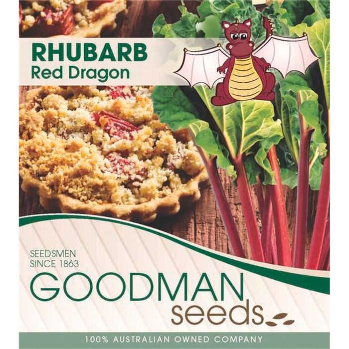 1 Crown Rhubarb Red Dragon Bagged - Rhuem Rhabarbbarum